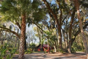 1302 WACAHOOTA ROAD, MICANOPY, FL 32667 - MLS#MFRGC528567