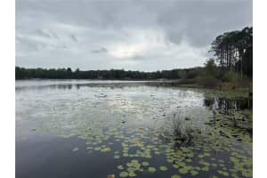 266 Ash St, HAWTHORNE 266 Ash St, HAWTHORNE