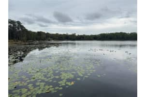 266 ASH STREET, HAWTHORNE, FL 32640 - MLS#MFRGC528924