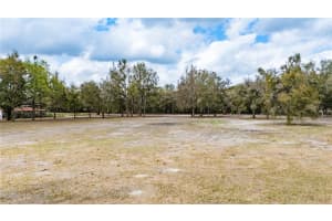 18991 11TH PLACE, WILLISTON, FL 32696 - MLS#MFRGC528955