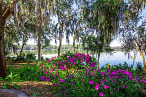 2810 14TH DRIVE, GAINESVILLE, FL 32608 Sold 06/23/25