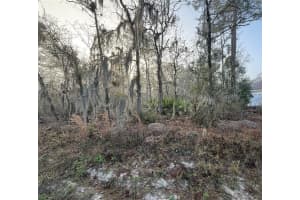 16009 57TH TERRACE ROAD, OCALA, FL 34473 - MLS#MFRGC529044