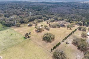 667 ELIM CHURCH ROAD, FORT WHITE, FL 32038 Sold 08/01/25