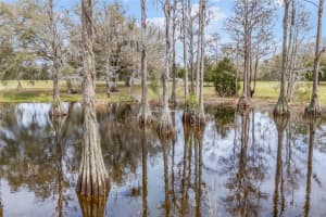 667 ELIM CHURCH ROAD, FORT WHITE, FL 32038 Sold 08/01/25