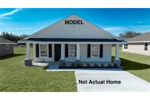 3303 IRIS LANE, BELL, FL 32619 - MLS#MFRGC529235