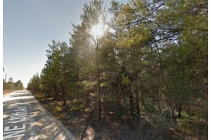 Lot 3 130TH AVENUE, WILLISTON, FL 32696 - MLS#MFRGC529238