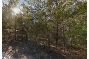 Lot 3 130TH AVENUE, WILLISTON, FL 32696 - MLS#MFRGC529238