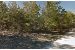 Lot 3 130TH AVENUE, WILLISTON, FL 32696 - MLS#MFRGC529238