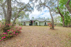 6550 123RD TERRACE, MORRISTON, FL 32668 - MLS#MFRGC529290