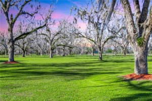 11566 SW COUNTY ROAD 18, HAMPTON, FL 32044 Sold 04/25/25