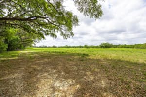TBD 220TH DRIVE, NEWBERRY, FL 32669 - MLS#MFRGC529480
