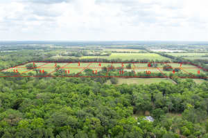 Lot 3 TBD 220TH DRIVE, NEWBERRY, FL 32669 - MLS#MFRGC529486