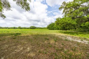Lot 8 TBD 220TH DRIVE, NEWBERRY, FL 32669 - MLS#MFRGC529492