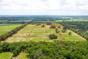 Lot 10 TBD 220TH DRIVE, NEWBERRY, FL 32669 - MLS#MFRGC529494