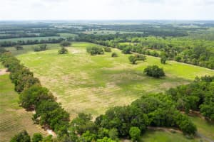 Lot 11 TBD 220TH DRIVE, NEWBERRY, FL 32669 - MLS#MFRGC529495