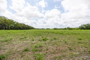 Lot 15 TBD 220TH DRIVE, NEWBERRY, FL 32669 - MLS#MFRGC529500