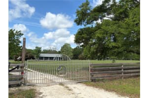 6659 85TH AVENUE, NEWBERRY, FL 32669 - MLS#MFRGC529510
