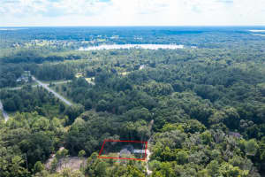 18 MALAUKA LOOP PASS, OCKLAWAHA, FL 32179 - MLS#MFRGC529532