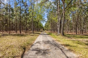 6482 80TH AVENUE, TRENTON, FL 32693 - MLS#MFRGC529612