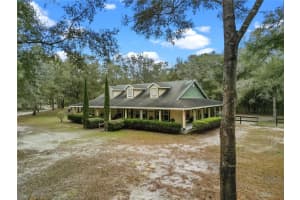 16091 55TH STREET, WILLISTON, FL 32696 Sold 05/06/25