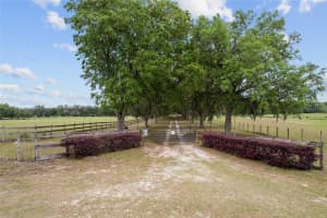 3149 200TH AVENUE, DUNNELLON, FL 34431 - MLS#MFRGC529825