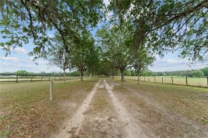 3149 200TH AVENUE, DUNNELLON, FL 34431 - MLS#MFRGC529825