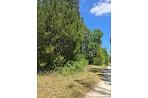 2521 182ND STREET, NEWBERRY, FL 32669 Sold 06/13/25