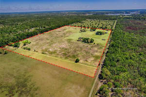 11070 282ND STREET, NEWBERRY, FL 32669 - MLS#MFRGC530069