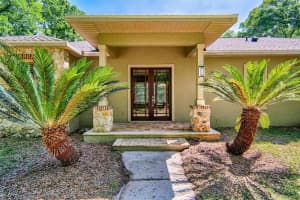 18442 42ND LANE, NEWBERRY, FL 32669 Sold 06/06/25