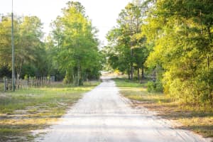 8320 100 AVENUE, BRONSON, FL 32621 Sold 05/30/25