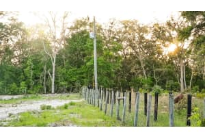 8320 100 AVENUE, BRONSON, FL 32621 Sold 05/30/25