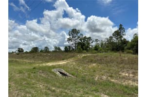 000 NE HWY 27 ALT, BRONSON, FL 32621 - MLS#MFRGC530666