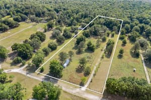 427 Sw Buck Ct, FORT WHITE