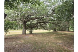 18825 NE COUNTY ROAD 1471, WALDO, FL 32694 Sold 08/25/25