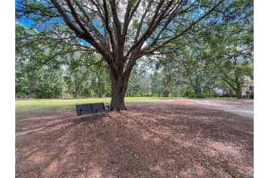 8115 236TH STREET, ALACHUA, FL 32615 - MLS#MFRGC530958