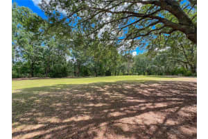 8115 236TH STREET, ALACHUA, FL 32615 - MLS#MFRGC530958