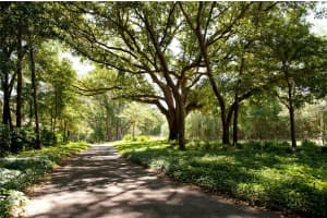 13420 11TH ROAD, NEWBERRY, FL 32669 Sold 08/01/25