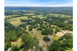 241, NEWBERRY, FL 32669 - MLS#MFRGC531191