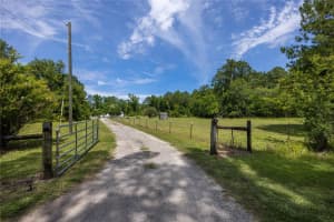 16630 57TH WAY, GAINESVILLE, FL 32653 - MLS#MFRGC531198