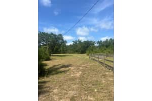 7670 128TH LANE, BRONSON, FL 32621 Sold 07/24/25