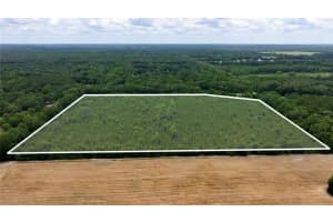 CR 235, NEWBERRY, FL 32669 - MLS#MFRGC531321