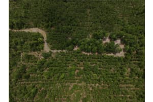 CR 235, NEWBERRY, FL 32669 - MLS#MFRGC531321