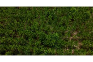 CR 235, NEWBERRY, FL 32669 - MLS#MFRGC531321