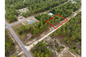 TBD 149TH COURT, WILLISTON, FL 32696 Sold 07/16/25