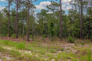 TBD 149TH COURT, WILLISTON, FL 32696 Sold 07/16/25