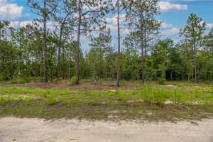 TBD 149TH COURT, WILLISTON, FL 32696 Sold 07/16/25