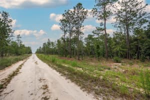 TBD 149TH COURT, WILLISTON, FL 32696 Sold 07/16/25