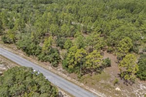SW 134 TER, DUNNELLON, FL 34431 - MLS#MFRGC531538