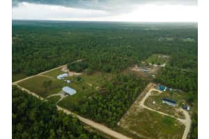 NE 154TH AVE, BRONSON, FL 32621 - MLS#MFRGC531633
