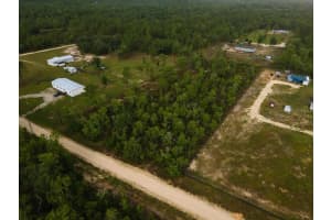 NE 154TH AVE, BRONSON, FL 32621 - MLS#MFRGC531633